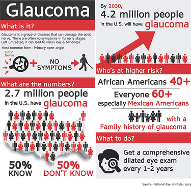 Blindness and Glaucoma Webinar